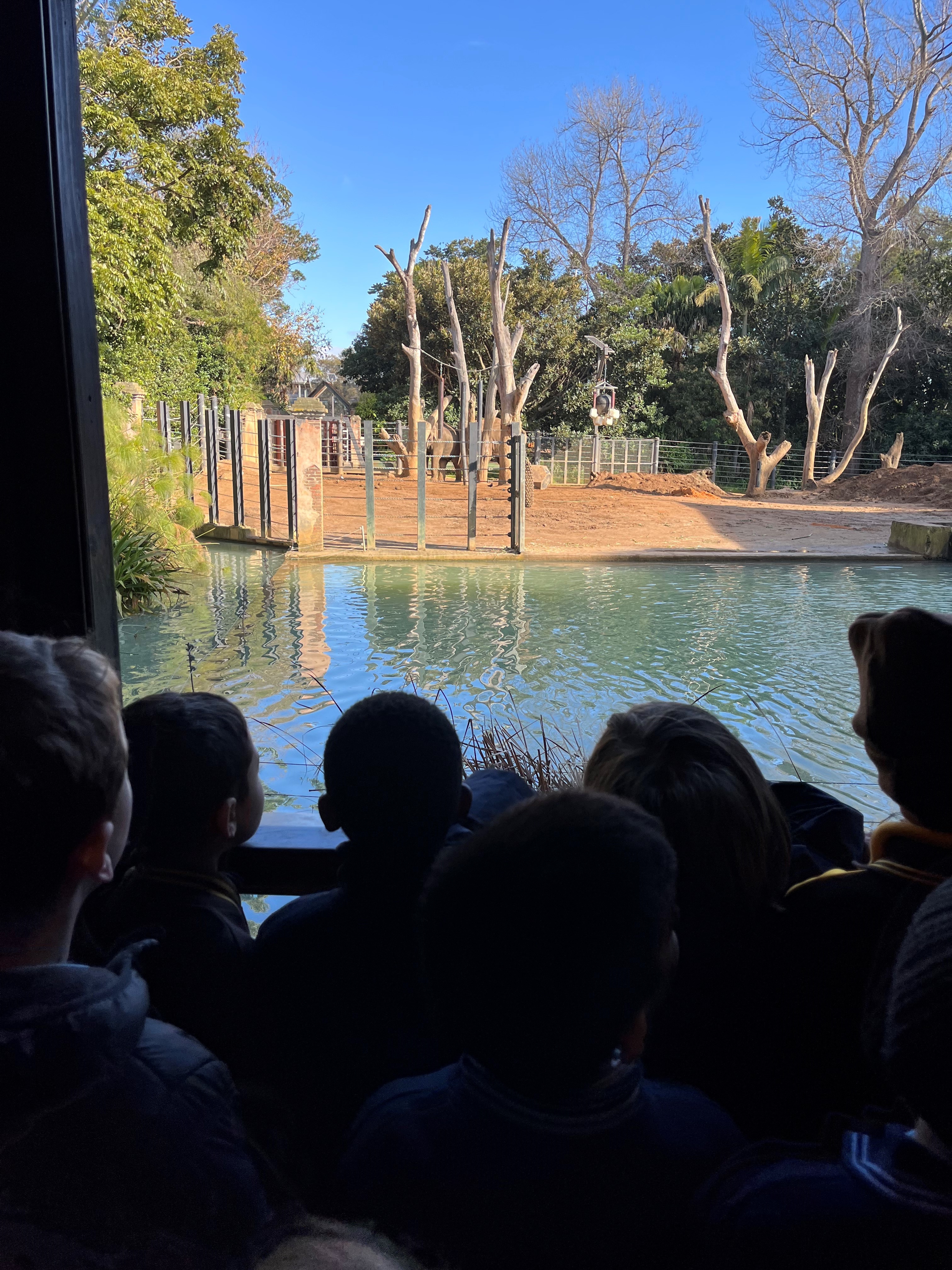 /uploaded_files/media/gallery/1659498786zoo 31.jpg
